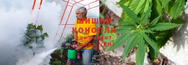 тгк Армянск