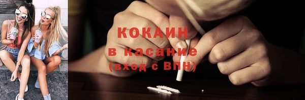 гидра Аркадак