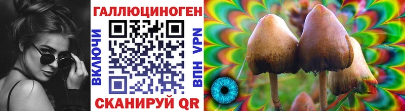 Галлюциногенные грибы Psilocybe  Нытва 